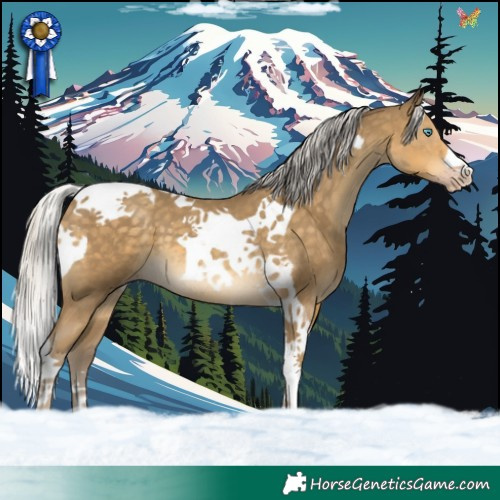 Horse Color:Silver Classic Cream Champagne Tobiano 