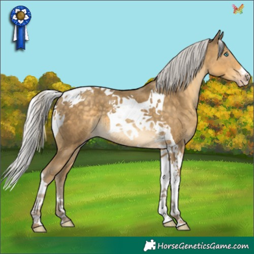 Horse Color:Silver Classic Cream Champagne Tobiano 