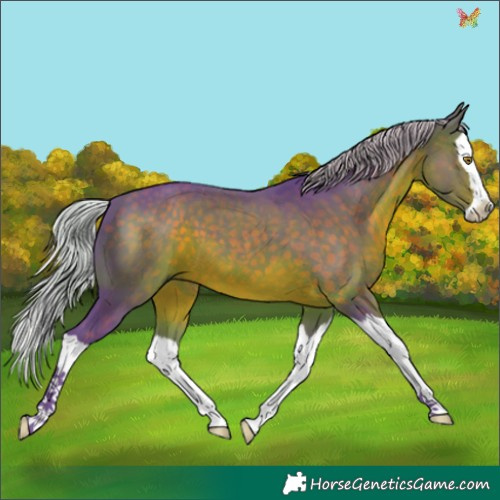 Horse Color:Watercolor Silver Brown Splash 
