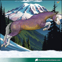 Horse Color:Watercolor Silver Brown Splash