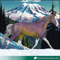 Horse Color:Watercolor Silver Brown Splash 