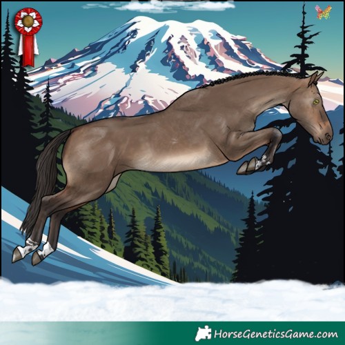 Horse Color:Brown Dun 