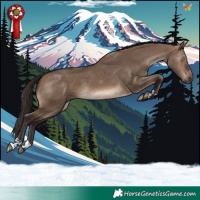 Horse Color:Brown Dun 