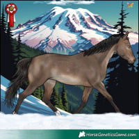 Horse Color:Brown Dun 