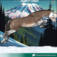 Horse Color:Brown Dun Splash 