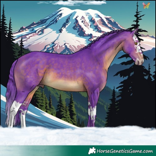 Horse Color:Watercolor Brown Splash 