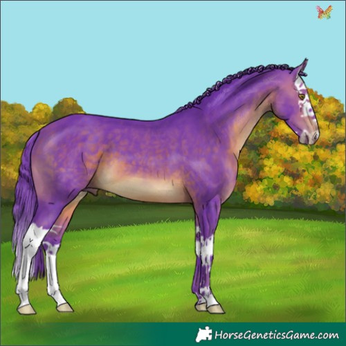 Horse Color:Watercolor Brown Splash 