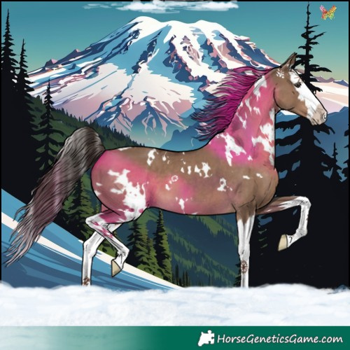 Horse Color:White Spotted Liver Red Dun Splash 