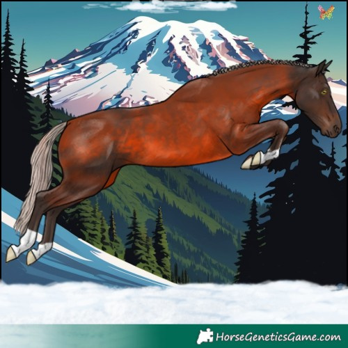 Horse Color:Silver Brown 