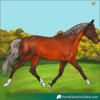 Horse Color:Silver Brown 