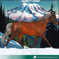 Horse Color:Silver Brown 