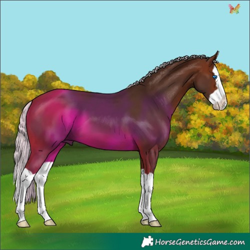 Horse Color:Silver Brown Splash 