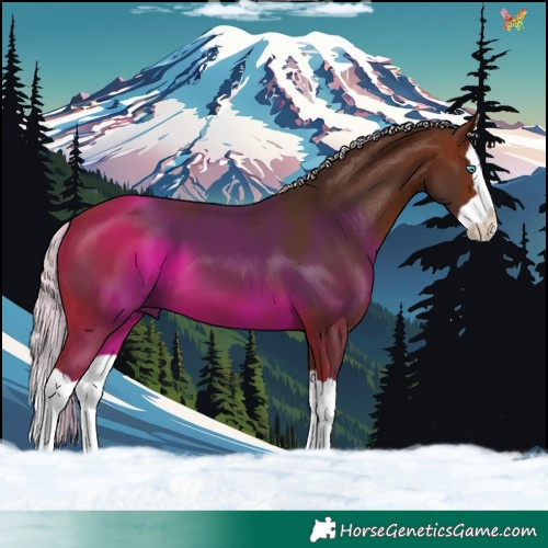 Horse Color:Silver Brown Splash 