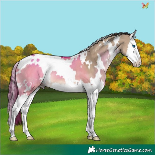 Horse Color:White Spotted Liver Red Dun Splash 