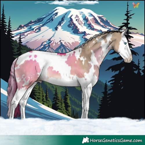Horse Color:White Spotted Liver Red Dun Splash 