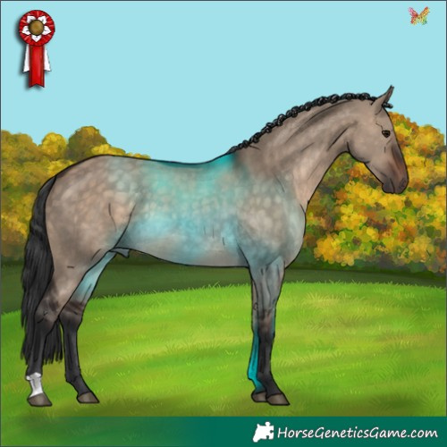 Horse Color:Brown Dun 