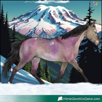 Horse Color:Brown Dun 