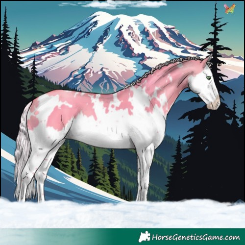 Horse Color:Watercolor White Spotted Silver Sable Champagne Dun Splash 