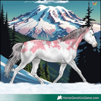 Horse Color:Watercolor White Spotted Silver Sable Champagne Dun Splash 
