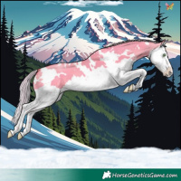 Horse Color:Watercolor White Spotted Silver Sable Champagne Dun Splash 
