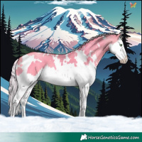 Horse Color:Watercolor White Spotted Silver Sable Champagne Dun Splash
