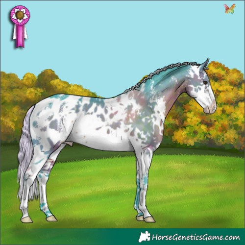 Horse Color:Watercolor Silver Brown Sabino Splash Appaloosa 