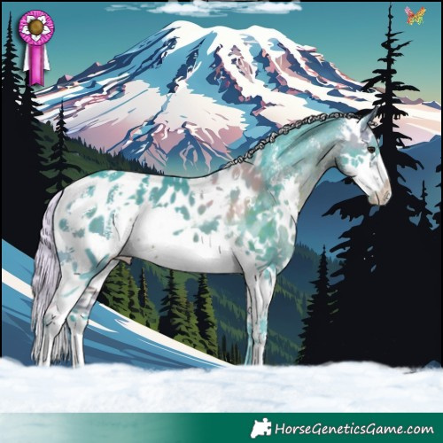 Horse Color:Watercolor Silver Brown Sabino Splash Near Leopard 