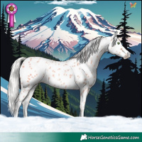 Horse Color:White Spotted Silver Classic Champagne Dun Appaloosa 