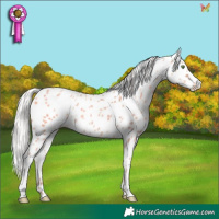 Horse Color:White Spotted Silver Classic Champagne Dun Appaloosa 