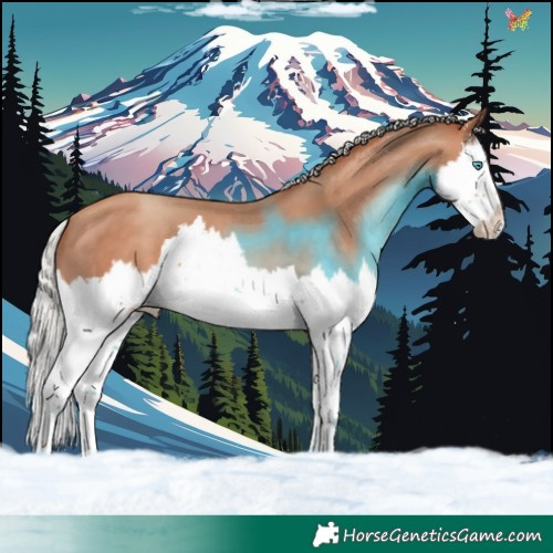 Horse Color:Silver Sable Champagne Sabino Splash 