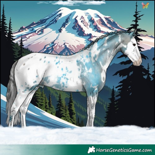 Horse Color:White Spotted Brown Dun Splash Blanket 