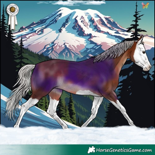 Horse Color:Silver Brown Splash 