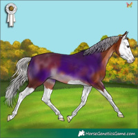 Horse Color:Silver Brown Splash 