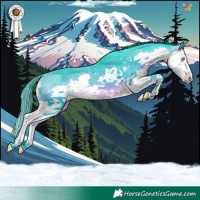 Horse Color:Watercolor Brown Splash