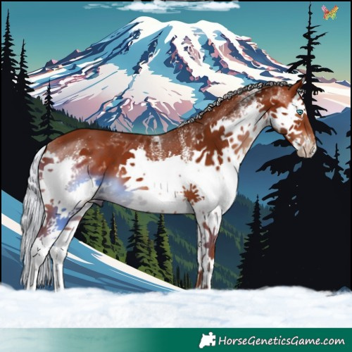 Horse Color:White Spotted Silver Brown Splash 