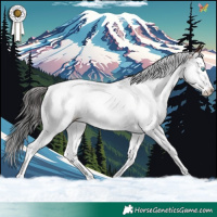 Horse Color:White Spotted Brown Splash