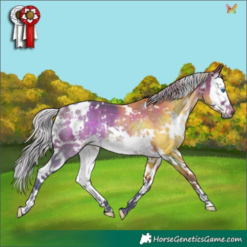 Horse Color:Watercolor White Spotted Silver Brown Splash Rabicano 