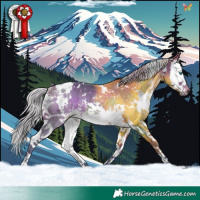 Horse Color:Watercolor White Spotted Silver Brown Splash Rabicano
