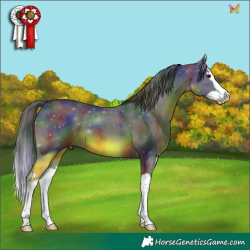 Horse Color:Nacre Smoky Black Splash 