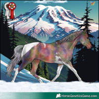Horse Color:Nacre Silver Brown Tobiano Rabicano 