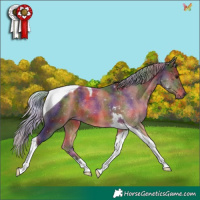 Horse Color:Nacre Silver Brown Tobiano Rabicano 