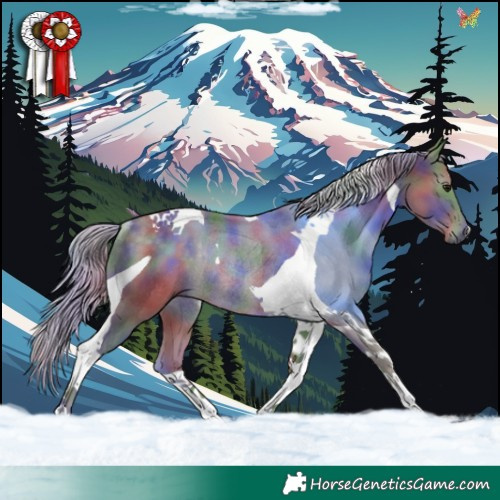 Horse Color:Nacre Silver Smoky Black Tobiano Rabicano 