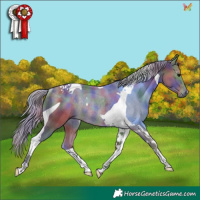 Horse Color:Nacre Silver Smoky Black Tobiano Rabicano