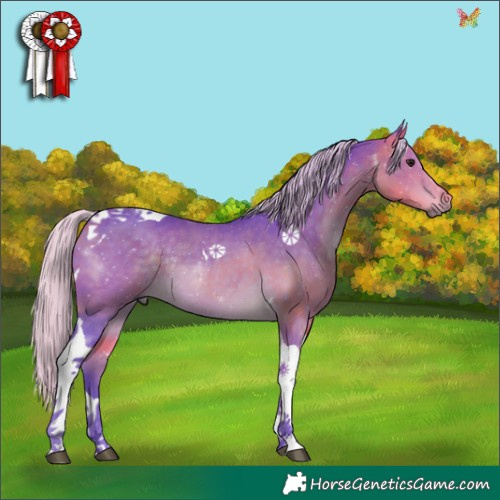 Horse Color:Watercolor Silver Buckskin Tobiano Rabicano 