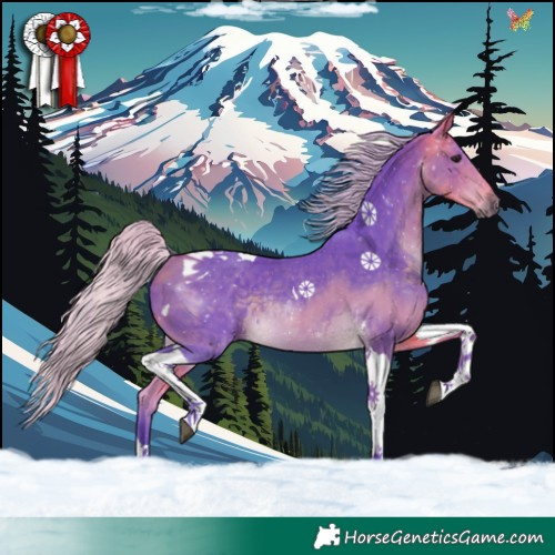 Horse Color:Watercolor Silver Buckskin Tobiano Rabicano 