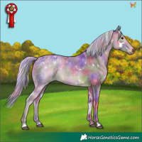 Horse Color:Nacre Watercolor White Spotted Silver Black Rabicano 