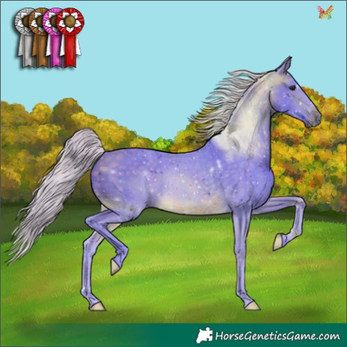 Horse Color:Watercolor Silver Buckskin Rabicano 