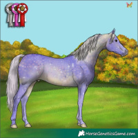 Horse Color:Watercolor Silver Buckskin Rabicano 