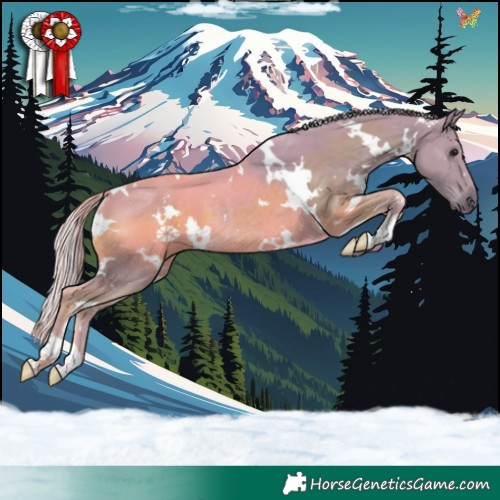 Horse Color:Watercolor White Spotted Silver Smoky Black Rabicano