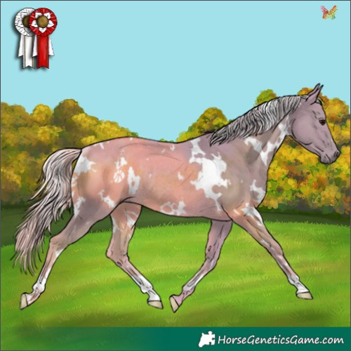 Horse Color:Watercolor White Spotted Silver Smoky Black Rabicano 